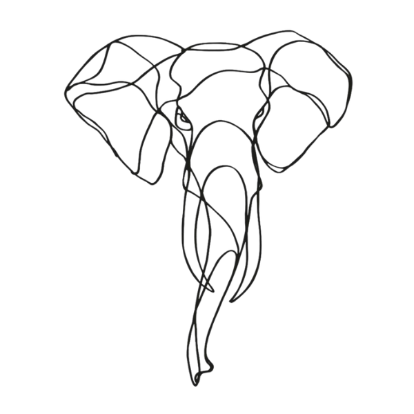 Wire
